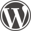 Modelscale Agency logo